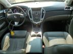 CADILLAC SRX LUXURY photo