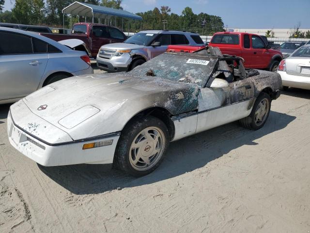 CHEVROLET CORVETTE