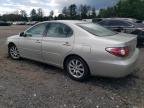 LEXUS ES 300 photo