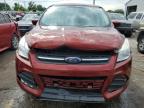 Lot #3023188137 2016 FORD ESCAPE SE