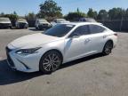 2019 LEXUS ES 350 - 58ABZ1B15KU029374