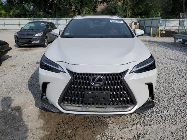 VIN 2T2HGCEZ0RC032775 2024 Lexus NX, 350 Luxury no.5