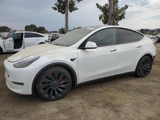 TESLA MODEL Y 2023 white  electric 7SAYGDEF5PF963588 photo #1