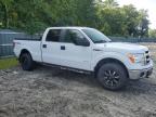 FORD F150 SUPER photo