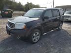 HONDA PILOT EXLN photo