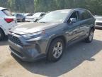 2023 TOYOTA RAV4 XLE - 2T3P1RFV9PW375622