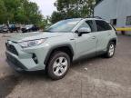 TOYOTA RAV4 XLE photo