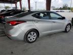 HYUNDAI ELANTRA SE photo