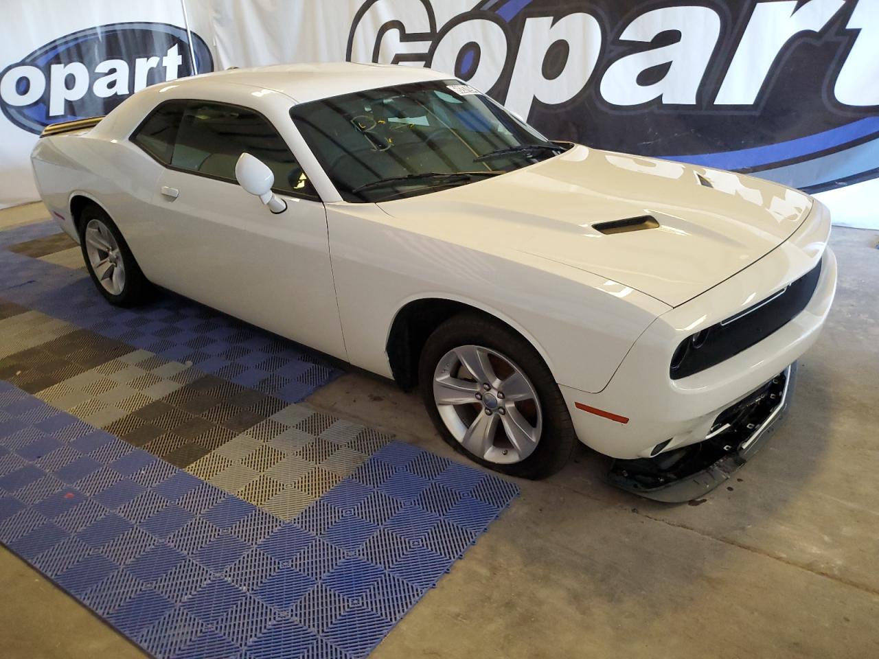 Lot #2848592956 2023 DODGE CHALLENGER