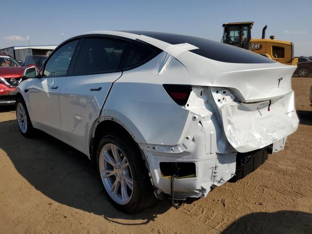 2023 TESLA MODEL Y - 7SAYGDEE8PA171908