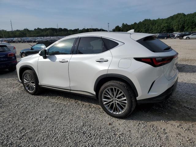 VIN 2T2HGCEZ0RC032775 2024 Lexus NX, 350 Luxury no.2