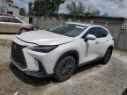 LEXUS NX 350 photo