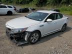 KIA OPTIMA HYB photo