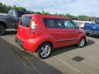 KIA SOUL + photo