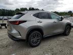 LEXUS NX 350 PRE photo