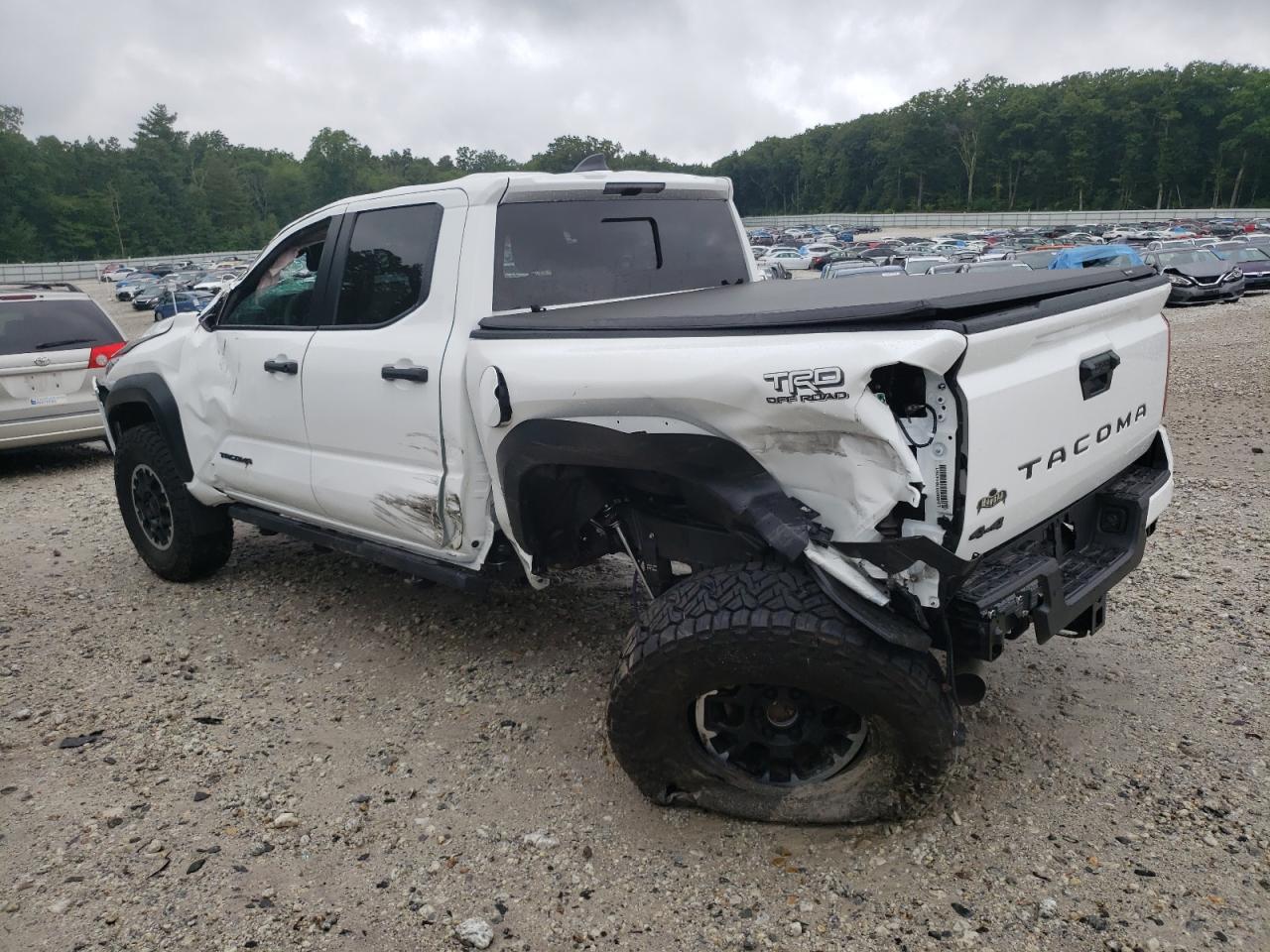 Lot #2955351520 2024 TOYOTA TACOMA DOU