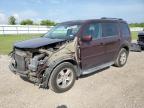 HONDA PILOT EXL photo