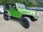 JEEP WRANGLER / photo