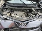 Lot #3023698872 2016 TOYOTA RAV4 LE