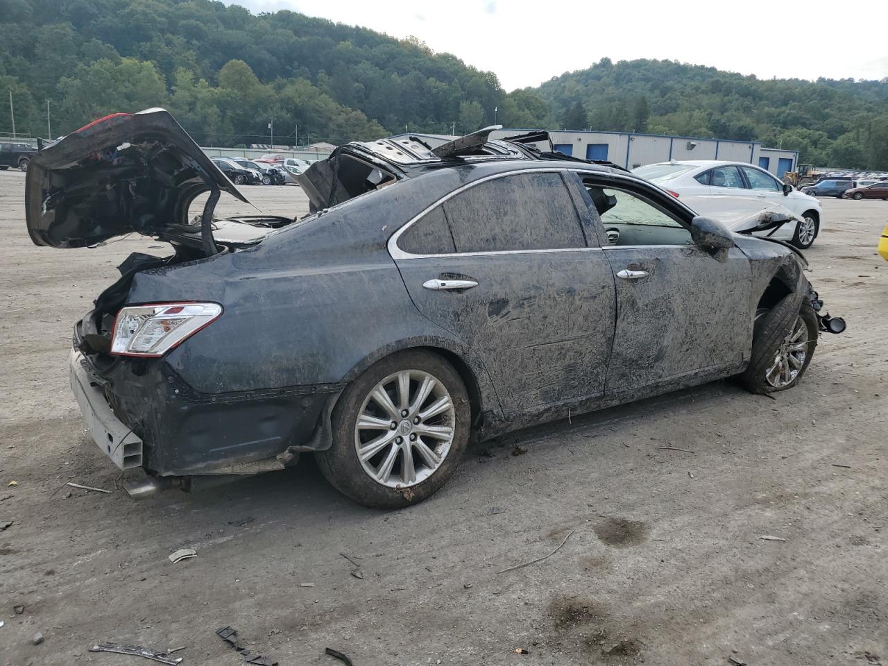 Lot #2989152703 2007 LEXUS ES 350