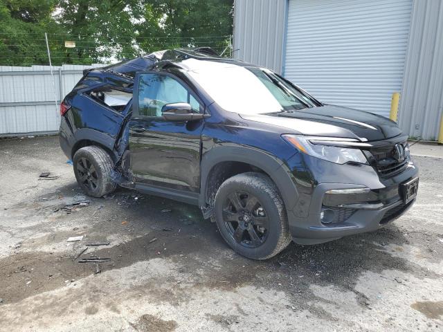 2022 HONDA PILOT TRAI 5FNYF6H85NB052408  66280084