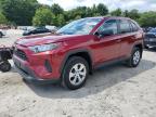 2021 TOYOTA RAV4 LE - 2T3F1RFV5MW231993