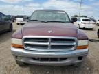 DODGE DAKOTA QUA photo