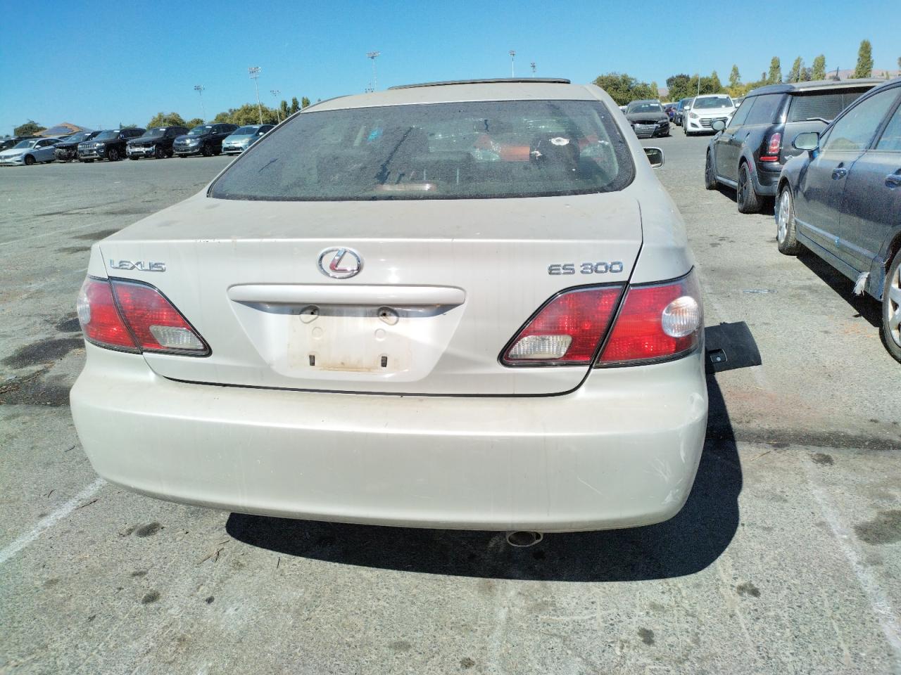 Lot #2976911568 2003 LEXUS ES 300