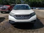 HONDA CR-V LX photo