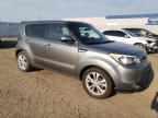 KIA SOUL + photo