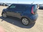 KIA SOUL + photo