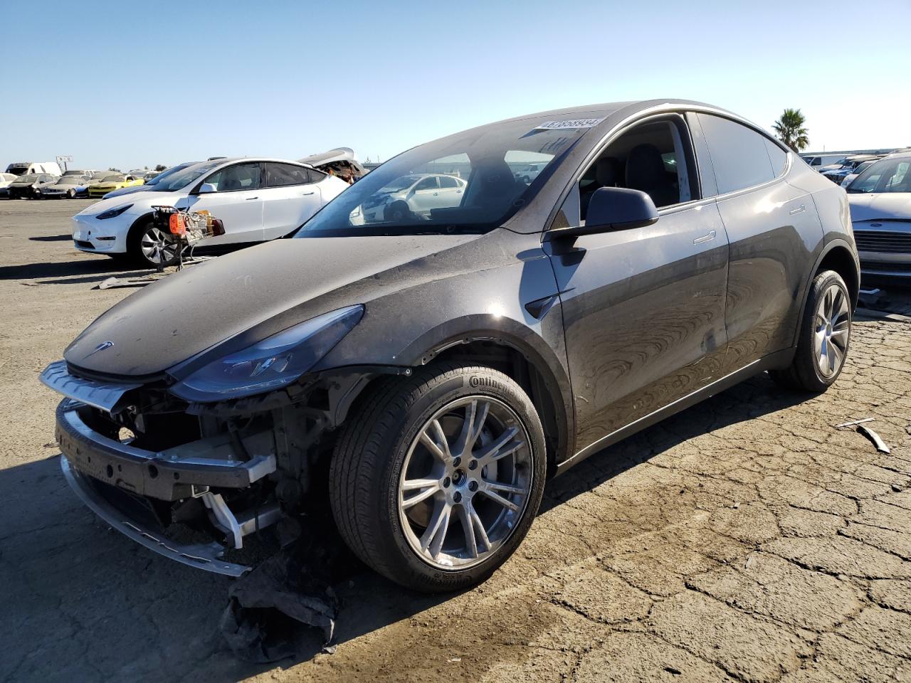 Tesla Model Y 2024 