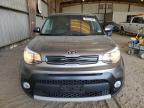 KIA SOUL + photo