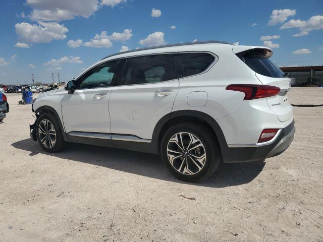 2019 HYUNDAI SANTA FE L - 5NMS5CAA0KH017659