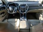 CADILLAC SRX PERFOR photo