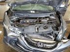 HONDA CIVIC EX photo