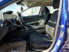 HYUNDAI ELANTRA SE photo