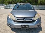 HONDA CR-V EXL photo