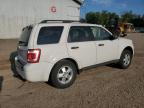 FORD ESCAPE XLT photo