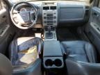 FORD ESCAPE XLT photo