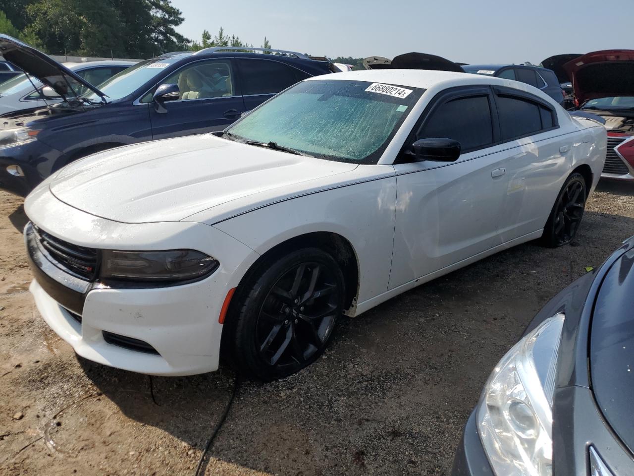 Lot #2969715277 2019 DODGE CHARGER SX