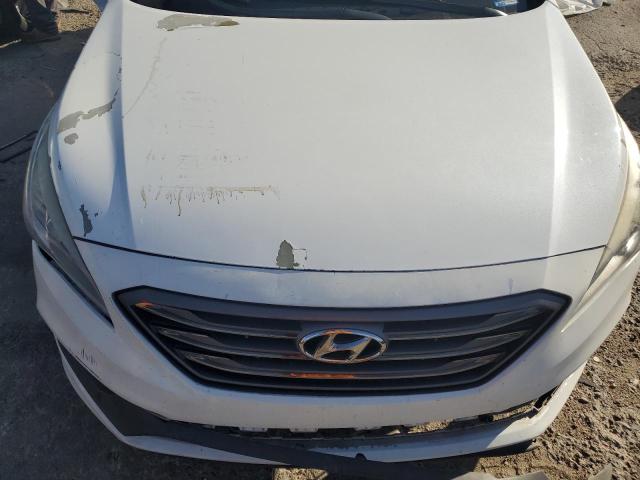 2017 HYUNDAI SONATA SPO - 5NPE34AF8HH525555