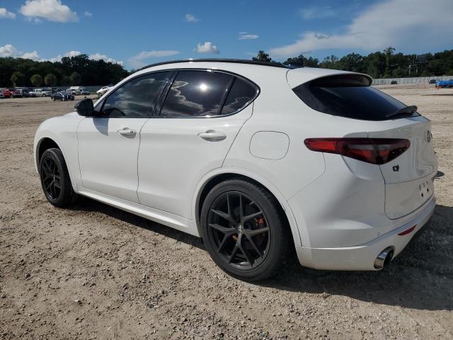 VIN ZASPAKBN7M7D18914 2021 Alfa Romeo Stelvio, TI no.2