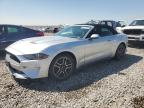 Lot #3023273211 2019 FORD MUSTANG