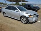 Lot #3023403240 2009 TOYOTA CAMRY BASE