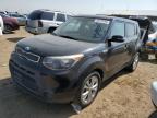 KIA SOUL + photo