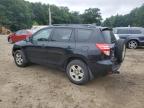 TOYOTA RAV4 photo