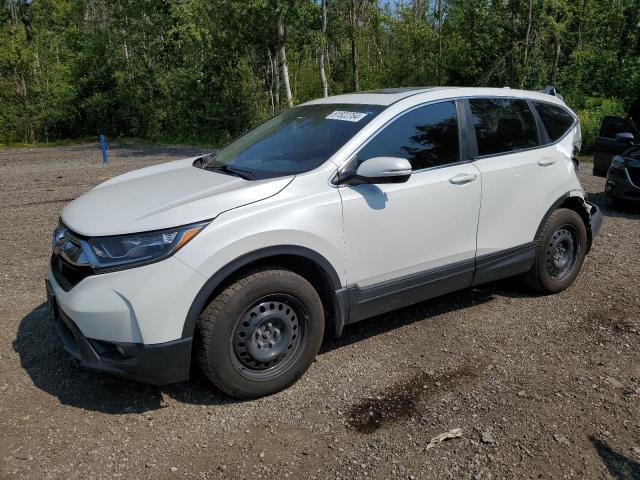 Vin: 2hkrw2h55kh144117, lot: 61522764, honda crv ex 2019 img_1