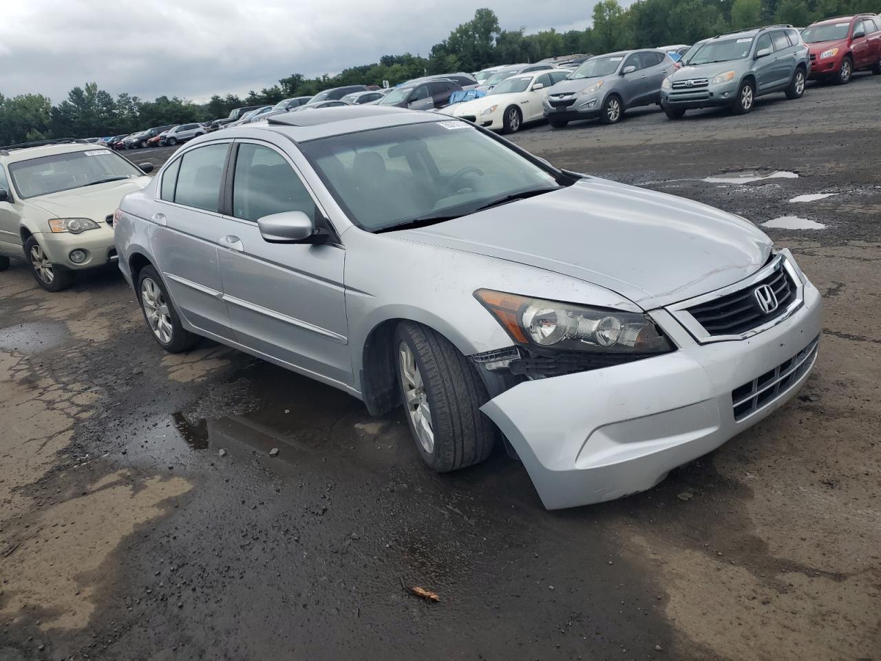 Lot #3029346694 2008 HONDA ACCORD EX