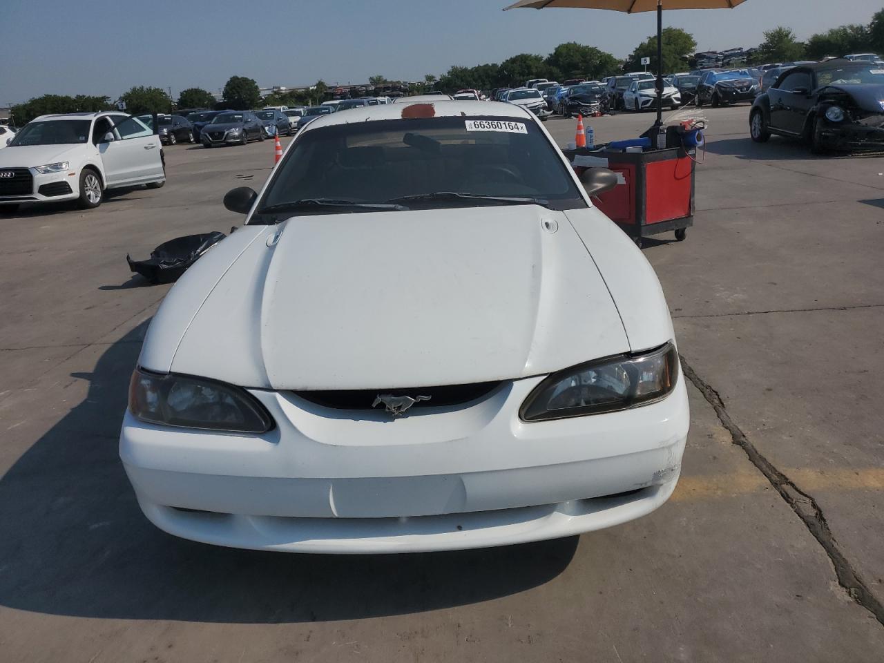 Lot #3040702771 1998 FORD MUSTANG